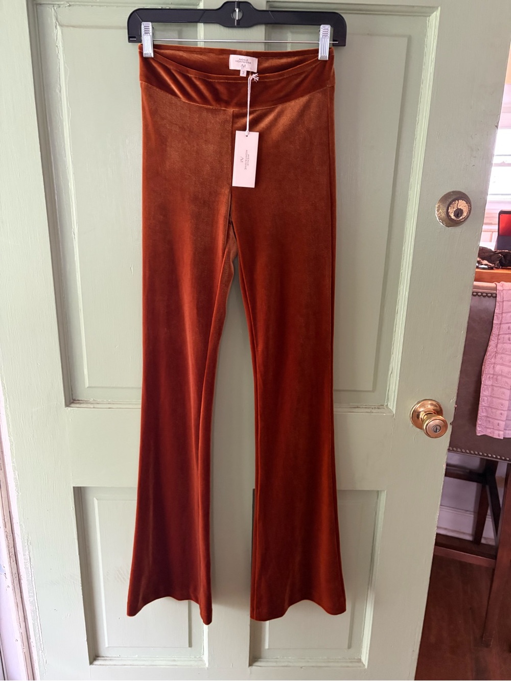 NWT Avenue Montaigne Velvet Bellini Pants Size 2
